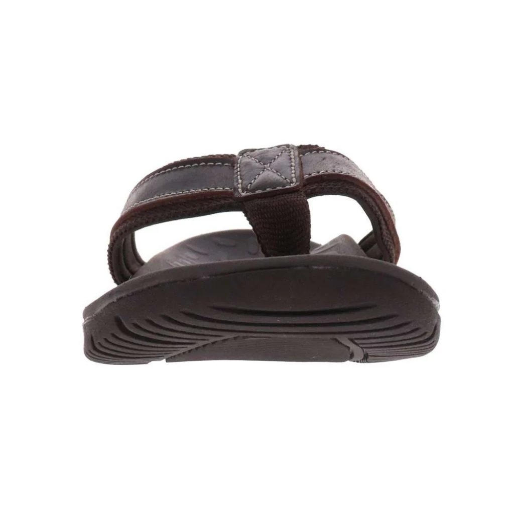 Focus - Brown - Image 2