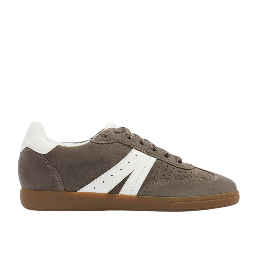 Levi - Sable Suede