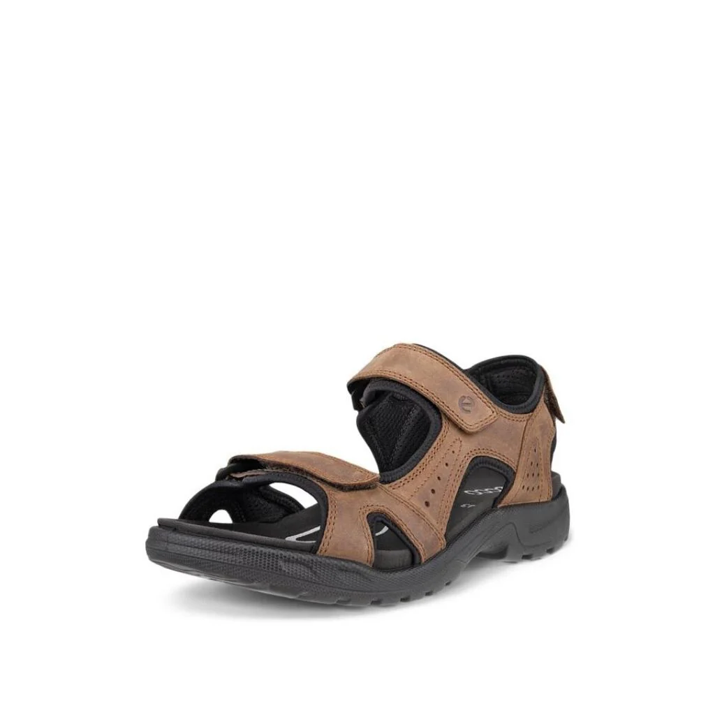 Onroads - Cocoa Brown/Black - Image 2