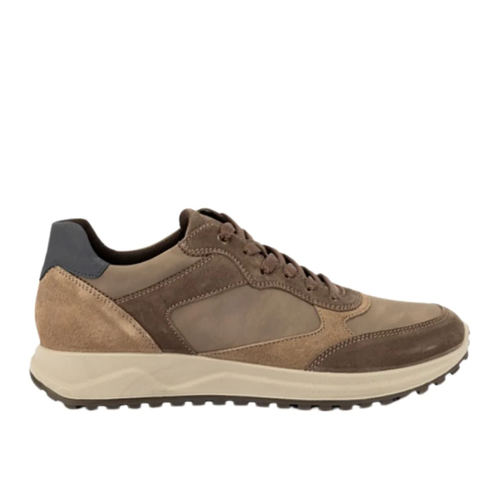 Saronno Lace - Taupe