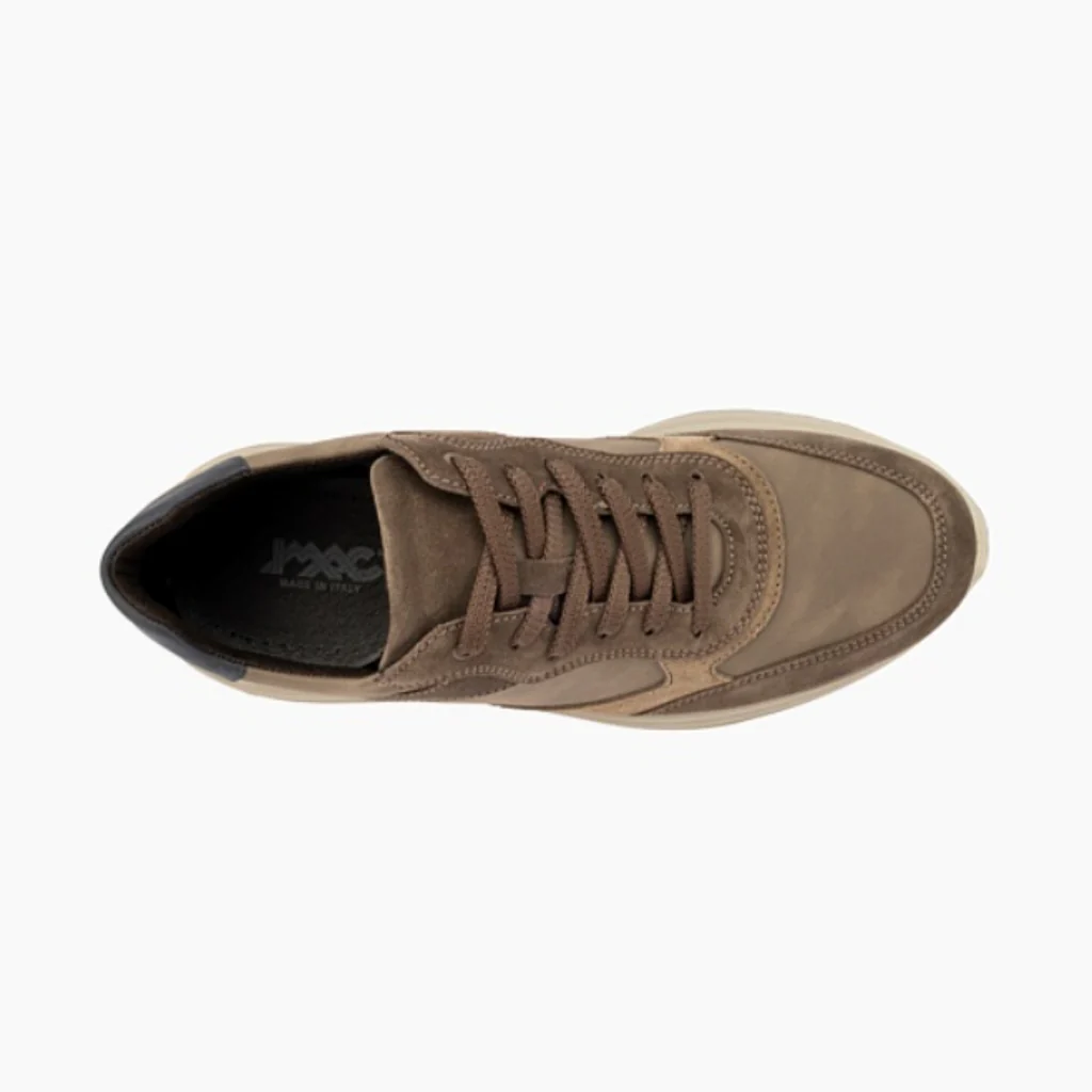 Saronno Lace - Taupe - Image 4