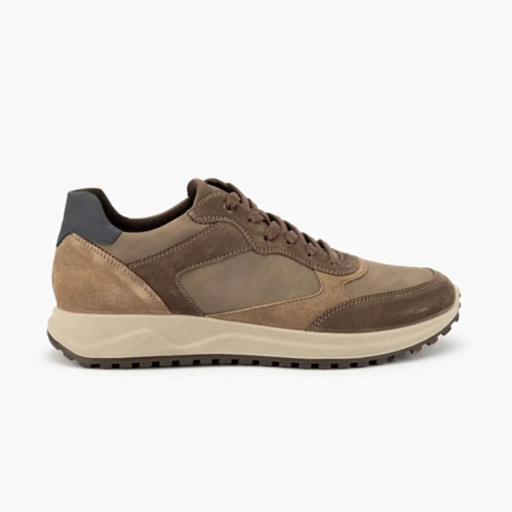Saronno Lace - Taupe - Image 6