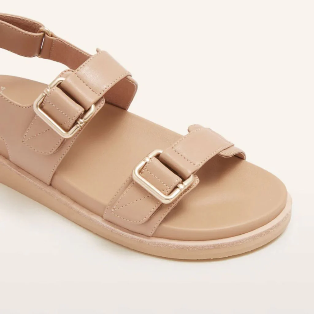 Thompson - Camel - Image 6