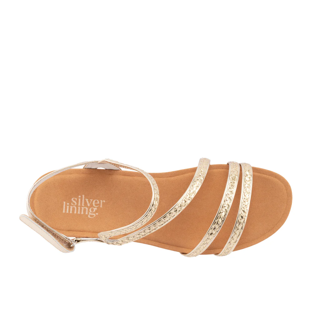 Utopia - Gold - Image 5