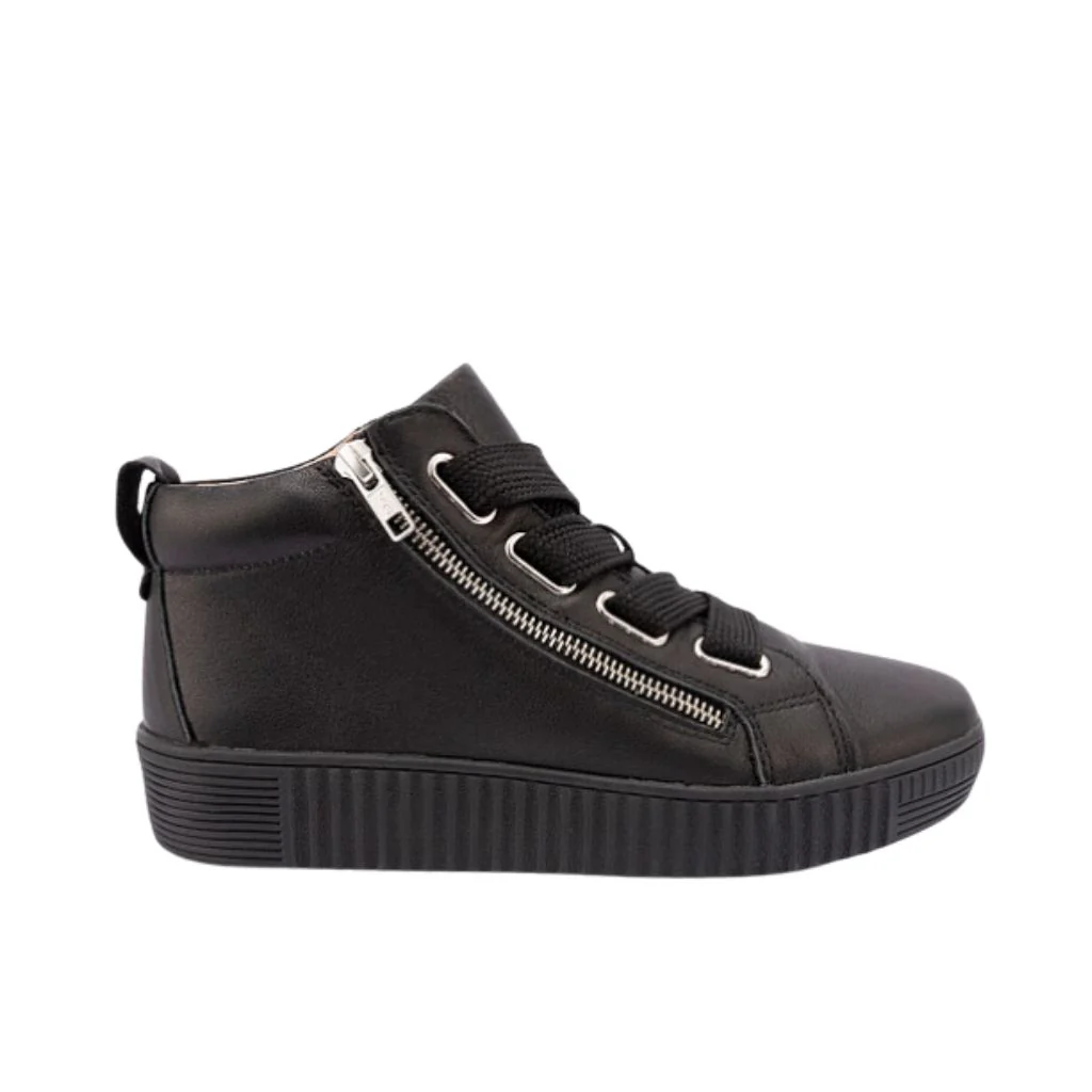 Ventura-Black